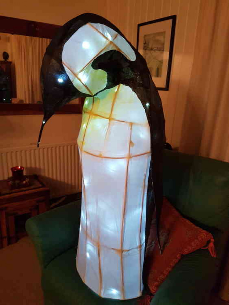 All dressed up and somewhere to go - the Emperor penguin is ready for his big night