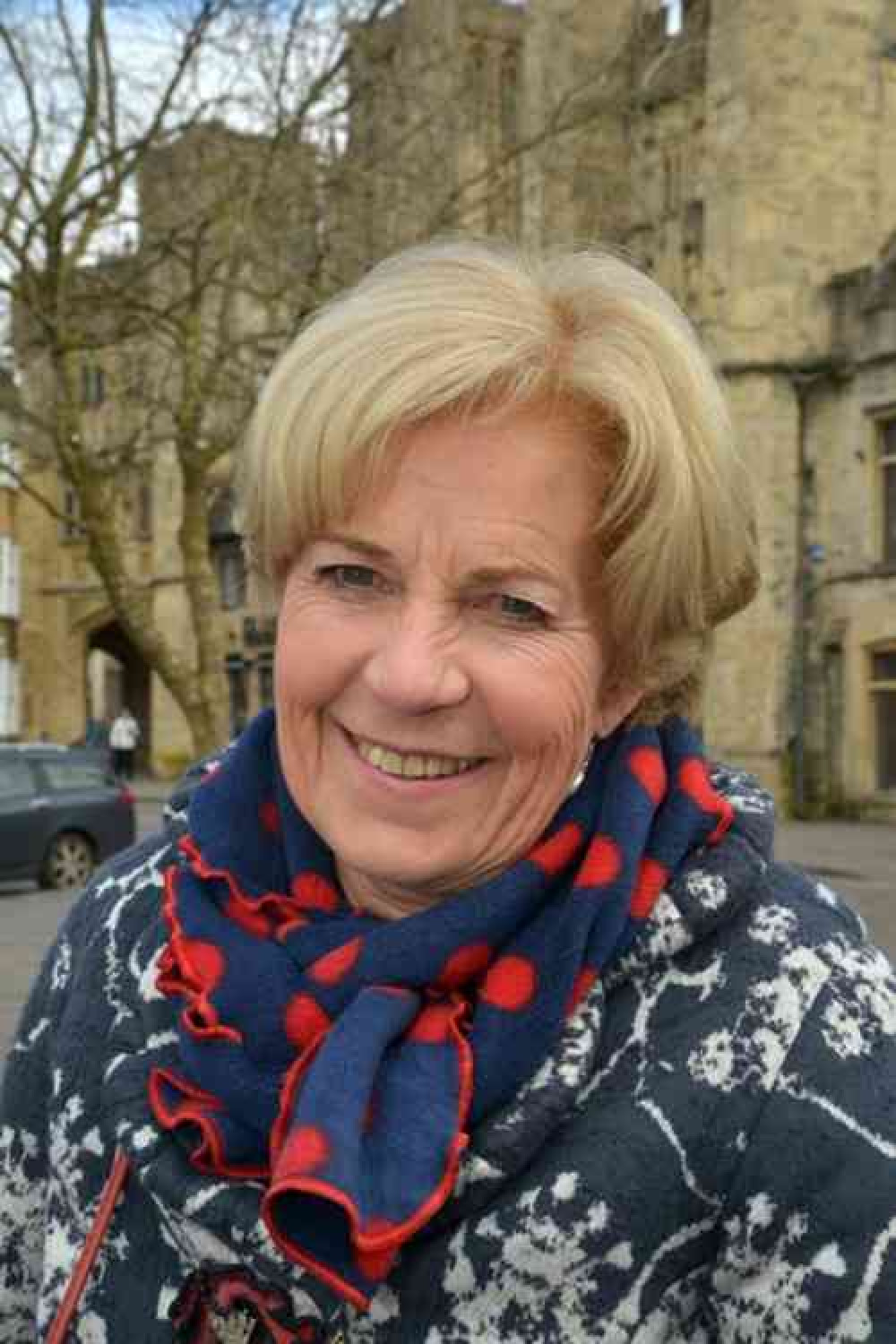 The Lord-Lieutenant of Somerset, Annie Maw