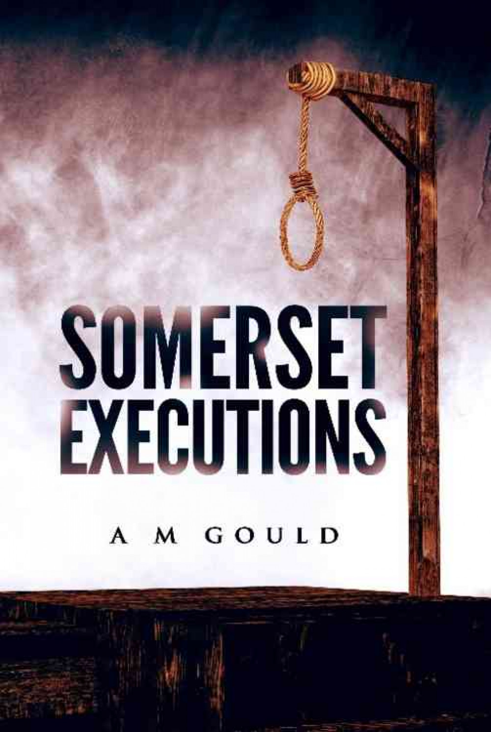 The front cover of Somerset Executions by Ann Marie Gould