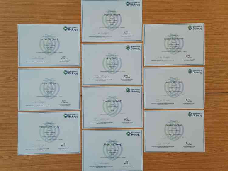 The British Biology Olympiad certificates
