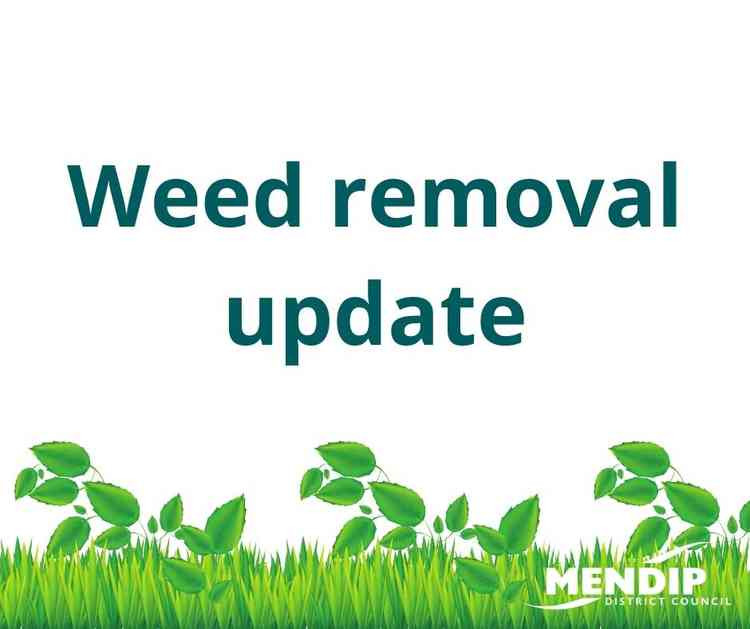 MDC Weed Removal Update