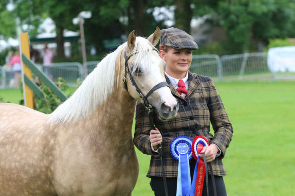 The Equine Showing Show will be held in May