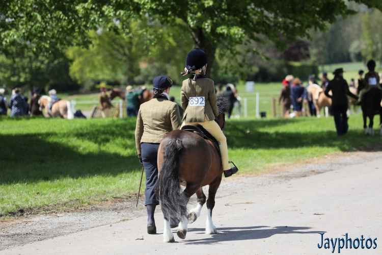 All ages took part in the Bath and West Equine Showing Show