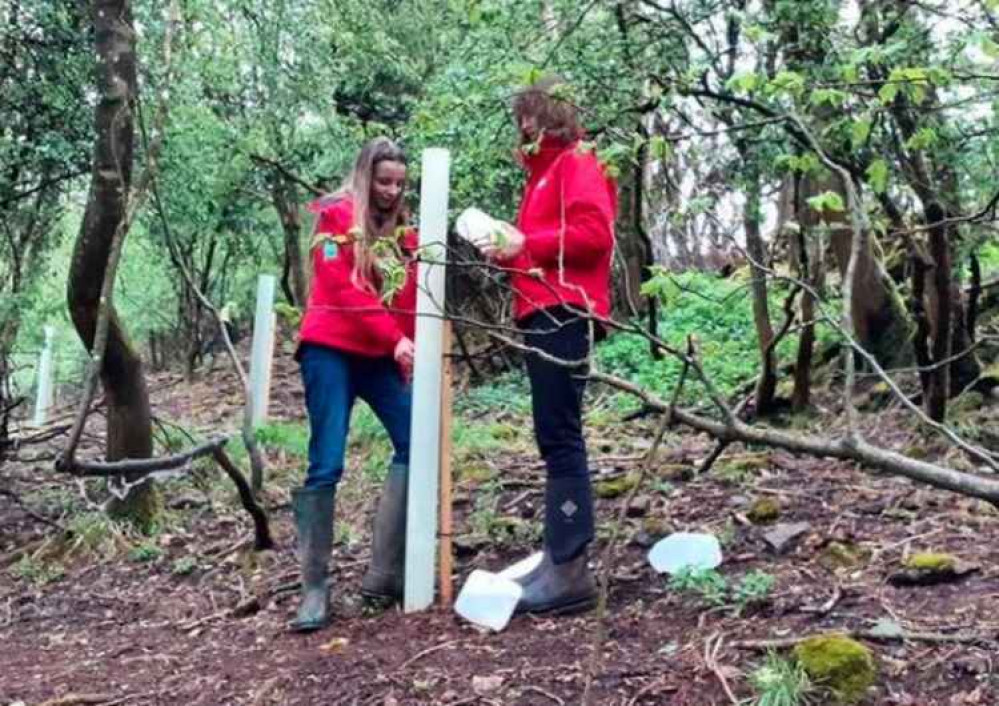 Young Rangers Phoebe and Bea