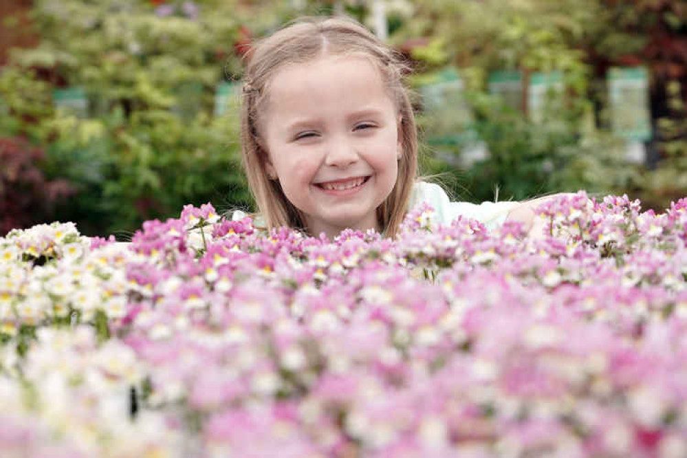 Children are being encouraged to join the Dobbies Little Seedlings Club (Photo: Stewart Attwood)