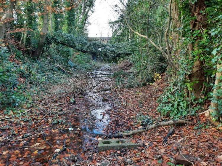 The former railway line looking towards the Cannard's Grave bridge in Shepton Mallet (Photo: Clark Landscape Design)