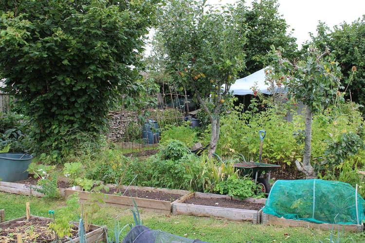 Shepton Mallet Town Council's allotments