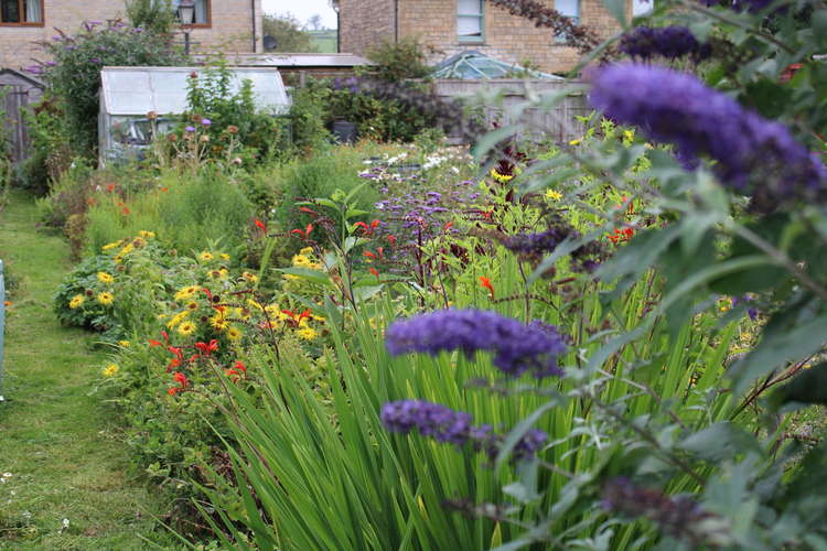 Shepton Mallet Town Council's allotments