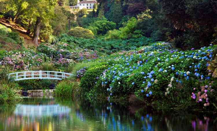 Trebah Garden, David Chapman