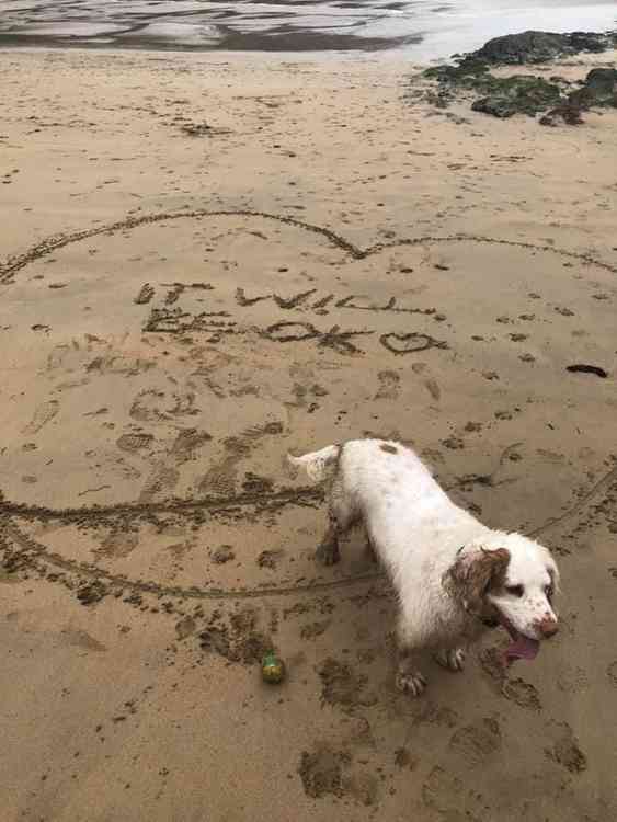 Taken by Carleen Collins: "Stumbled upon this message drawn in the sand at Maenporth.: