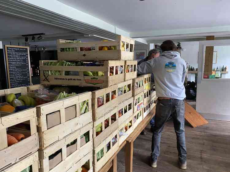 Robin Markland of Community Heart sorting through emergency food boxes.