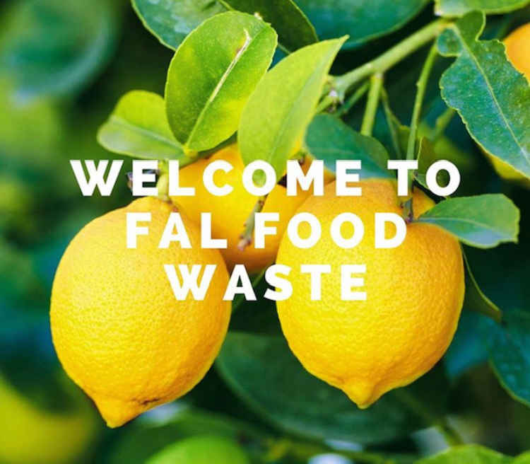 Credit: Fal Food Waste.