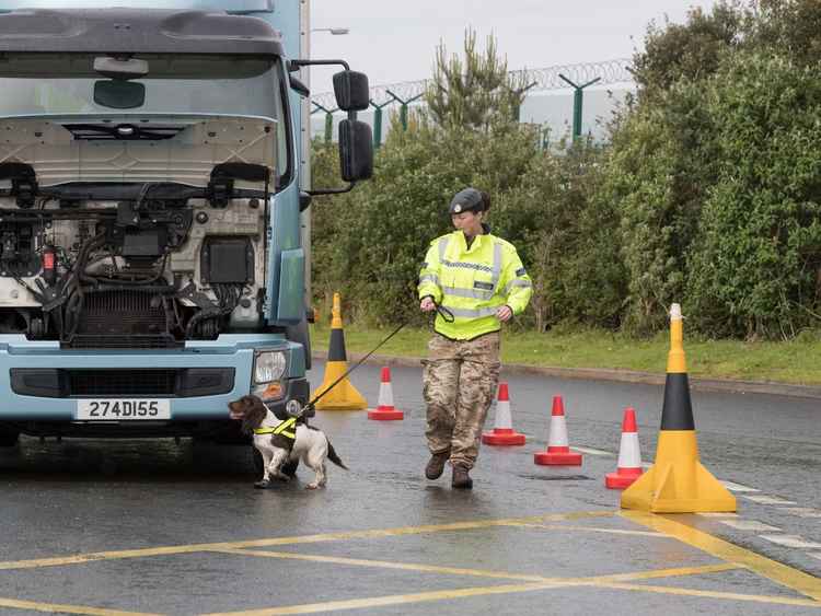 Explosive search dogs and handlers will be on hand / courtesy of MOD Crown.