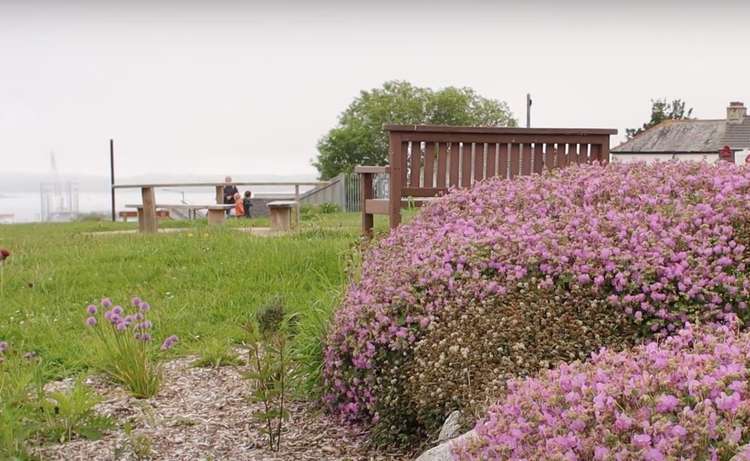 Falmouth: Making Space for Nature Project transforms local park