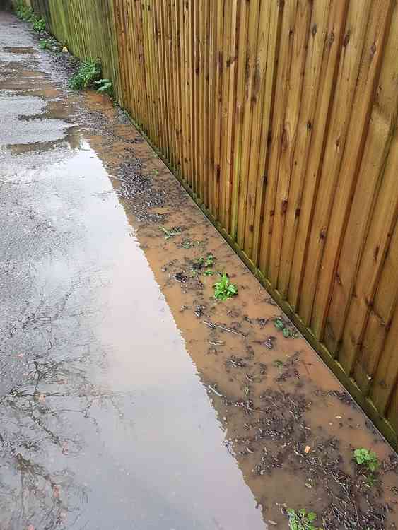 Fields Behind Conybeare Road: Property of Nicky Parry on Sully Village Hub