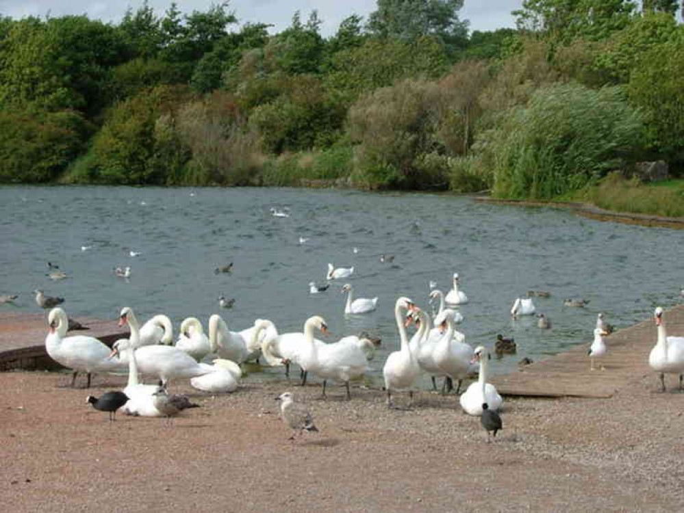 Nigel Homer on Geograph