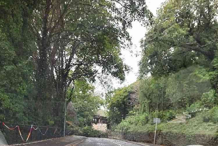 Fallen tree on Windsor Road earlier (Photo credit: John Clark)