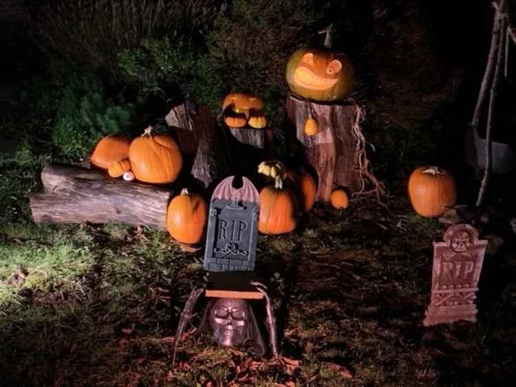 The petrifying pumpkin display