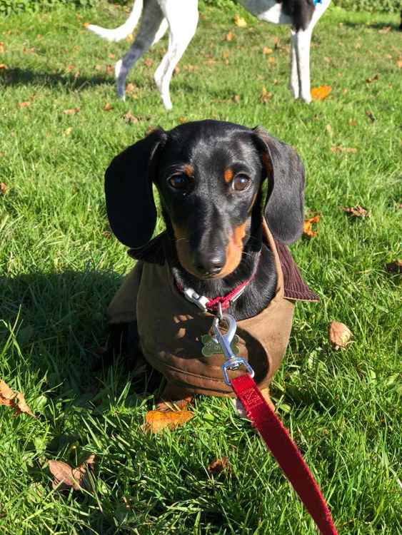 A photo of Ralph taken on the morning of the attack