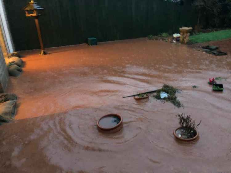 A photo of Craig James' mother's garden