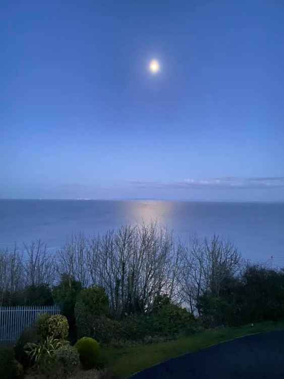 The moon slightly higher...but no less beautiful (Jane McJennett)