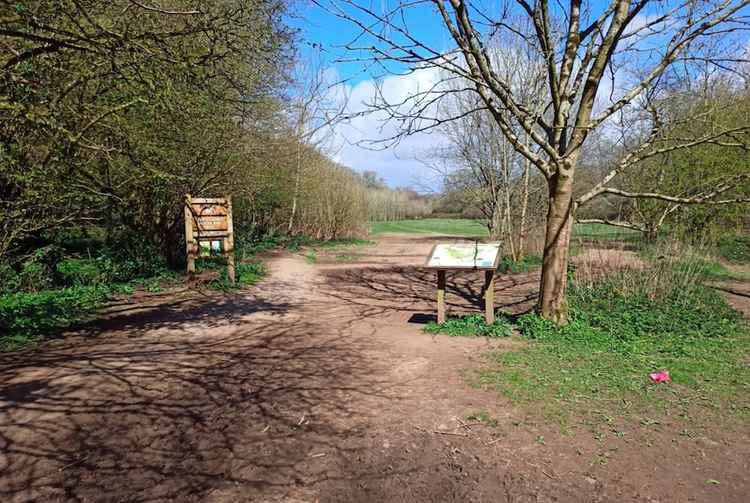 Scroll through the gallery to see the widening of meadow paths on the site.