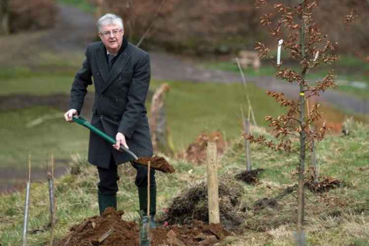 First Minister Drakeford exhibiting his commitment to planting trees (Welsh Government)