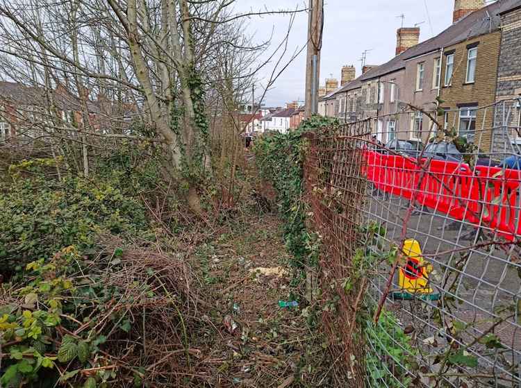 Roughly two feet of vegetation has been removed along most of the fencing.