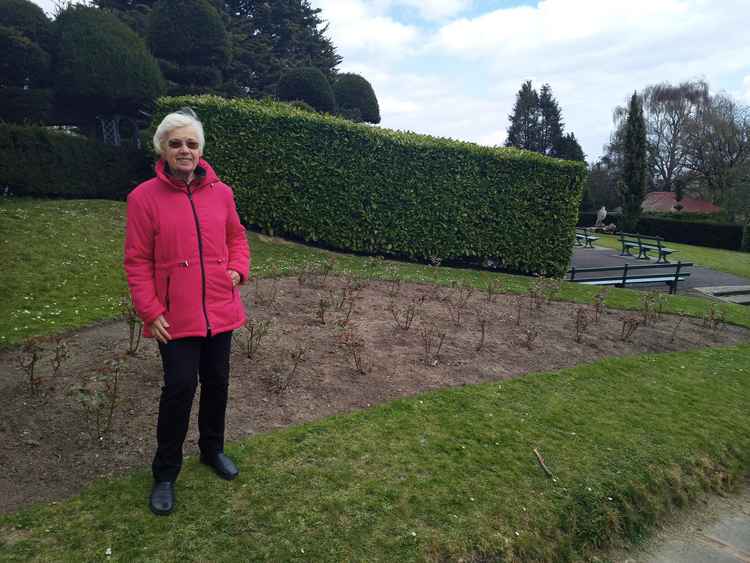 The bushes are expected to bloom for the first time next month