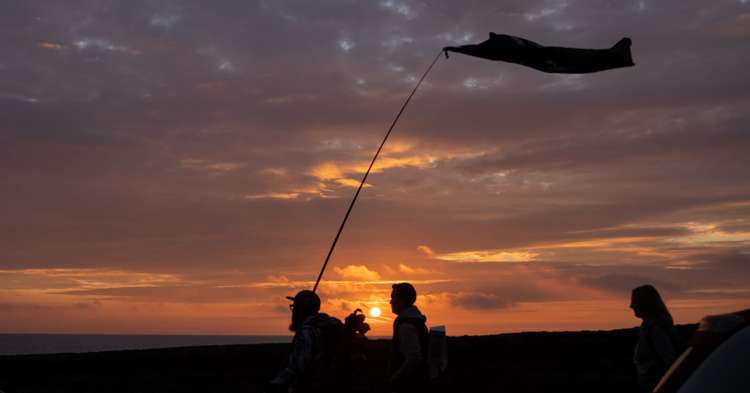 The group walked along the cliff top before heading to the seafront (Image by Aaron Jones)