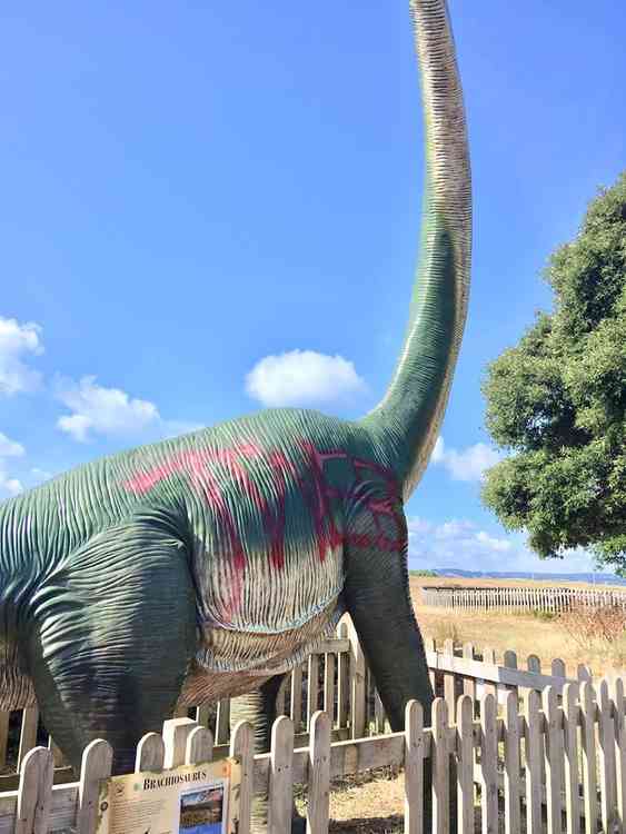 The Brachiosaurus on The Maer. Picture courtesy of Katie Lea.