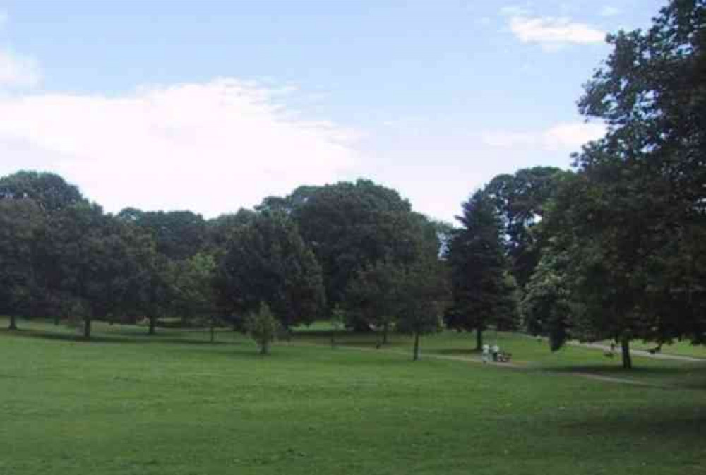 Trees in Phear Park, Exmouth