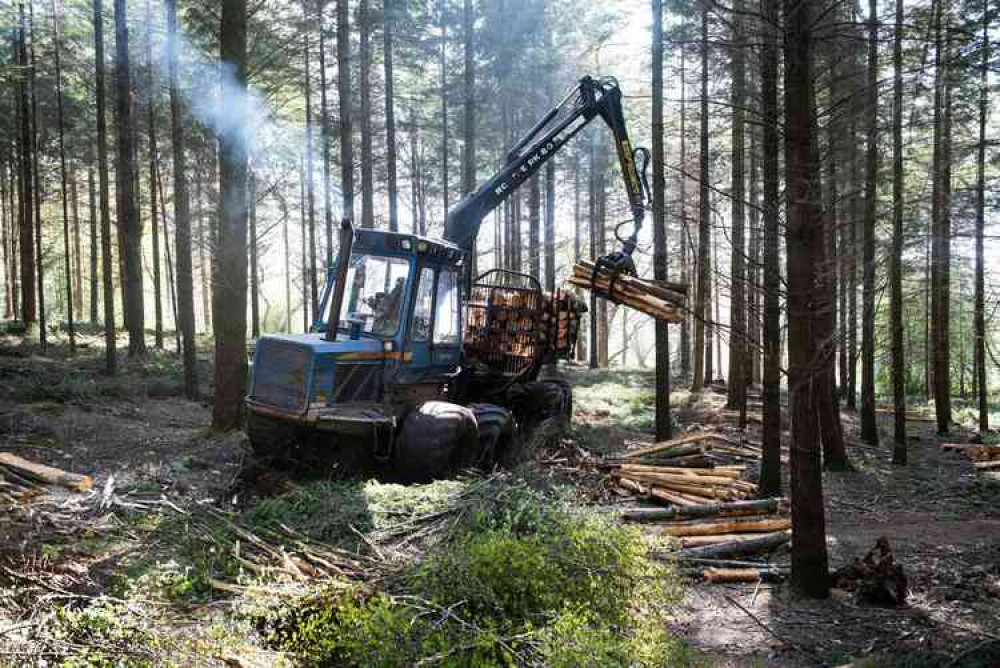 CDE Forestry operations in action.