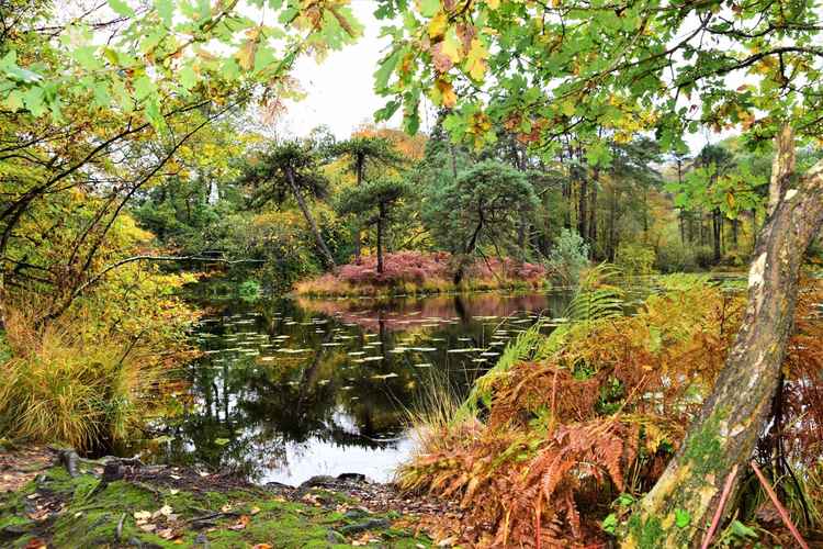 IYN Bystock Pools Mindfulness Trail (Recognition)