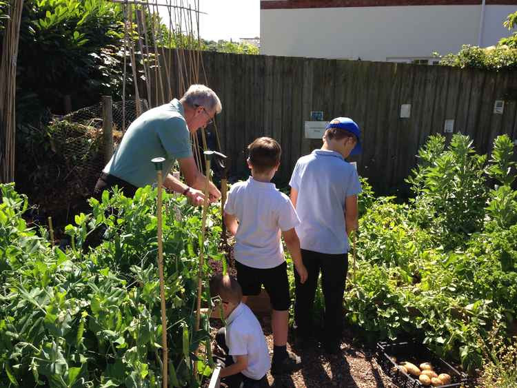 Some of the children getting involved in the garden.