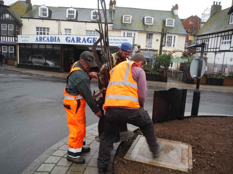 Manoeuvring the sculptures into position. Picture:  Exmouth In Bloom