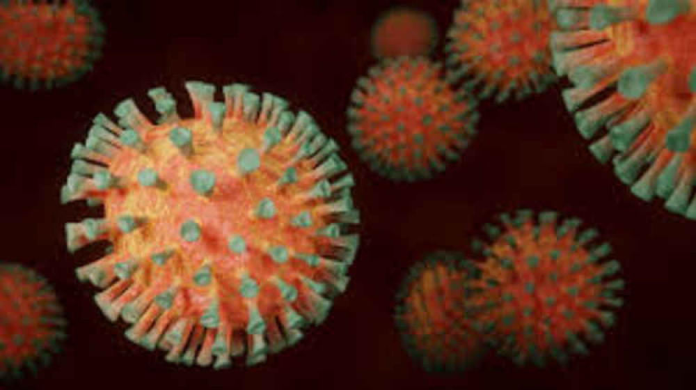The coronavirus. Picture: Pixabay