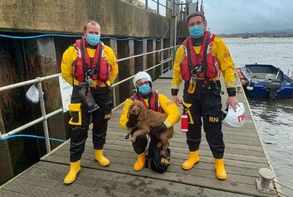Volunteer  crew (L-R), Roy Stott, David Preece and James Edge, with the rescued dog.  Credit : Steve  Hockings-Thompson / Exmouth RNLI