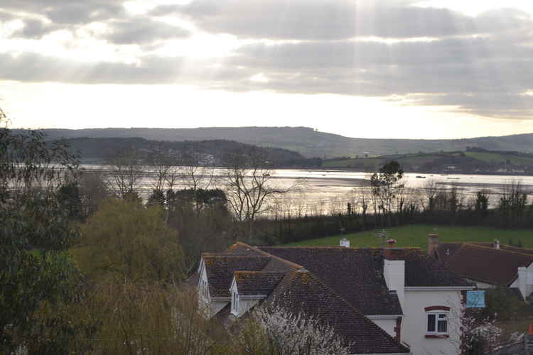 The view from the rear of the house