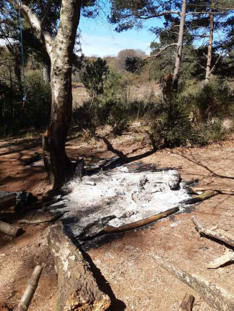 The burnt patch of ground at Bystock nature reserve. Image: Devon Wildlife Trust