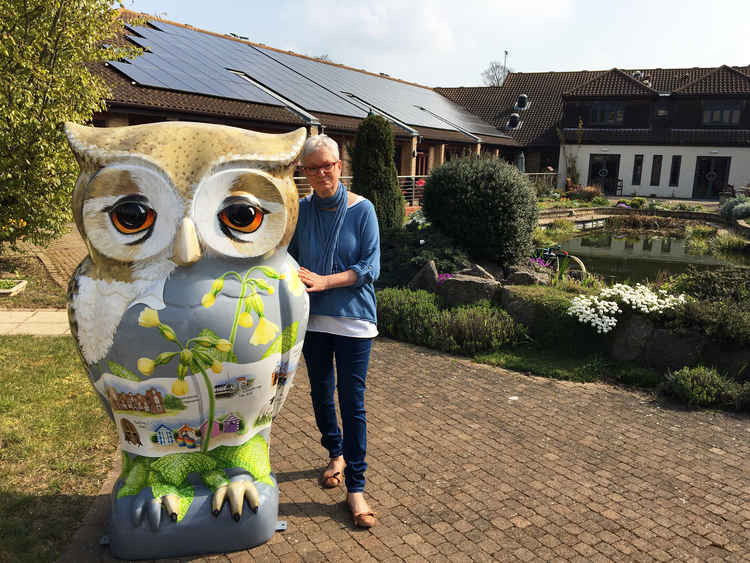 Angie Ashford reveals the first Big Hoot for 2022 Wild in Art Trail (Picture credit: St Elizabeth Hospital