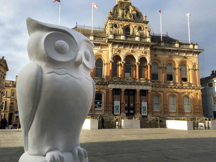 Big Hoot 2022 (Picture credit: St Elizabeth Hospice)