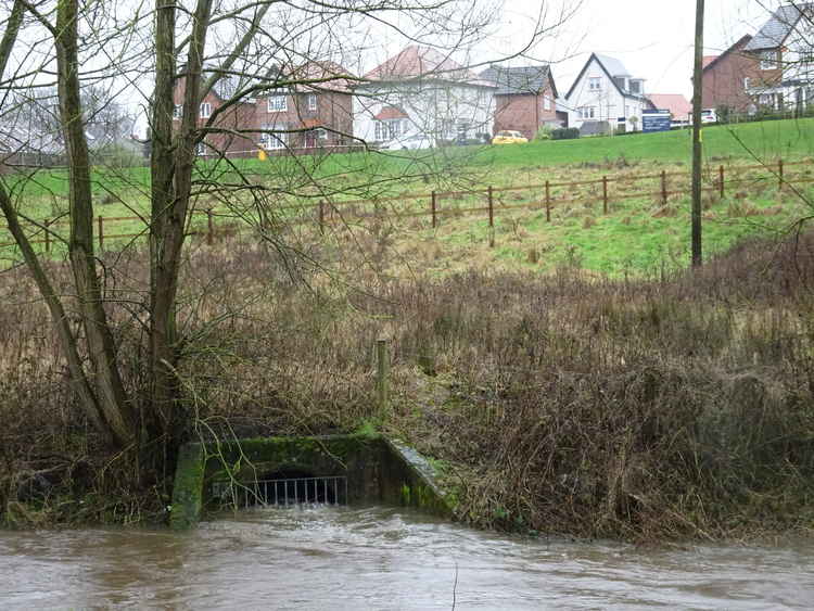 This Wistaston Brook storm drain looks dangerously high (Photo: Jonathan White).
