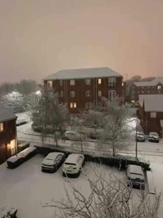 Blount Close under snow (Photo: Tatiane Leite).