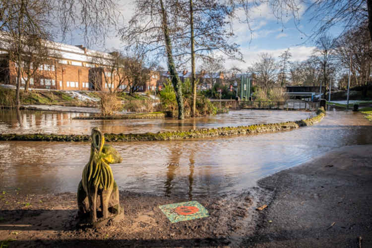 Crewe's Valley Park flooded last week.