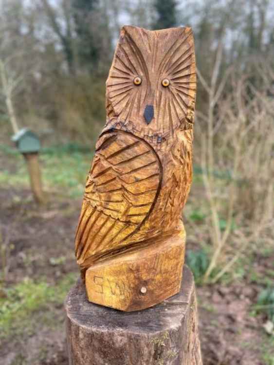 Sandie's owl sculpture in Joey the Swan.