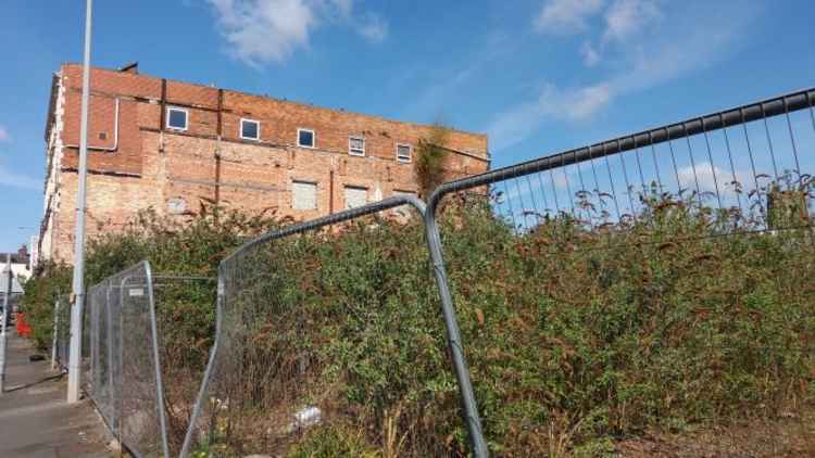 Overgrown shrubbery blights the former site of Crewe's M Club on High Street.