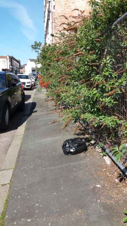 More discarded waste on High Street.