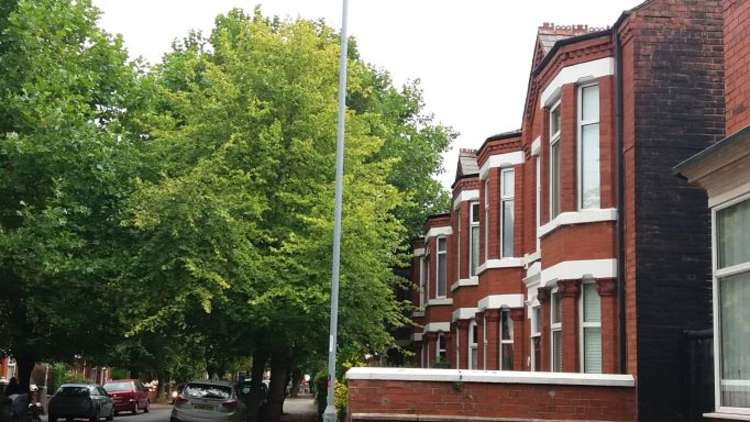 The trees dominate the housing on a stretch of Gainsborough Road.