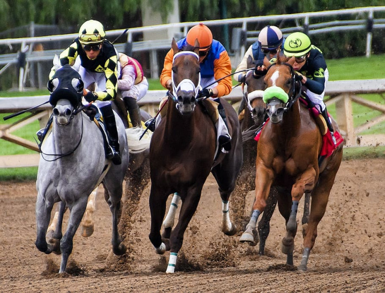 The Grand National runs between April 7 and 9